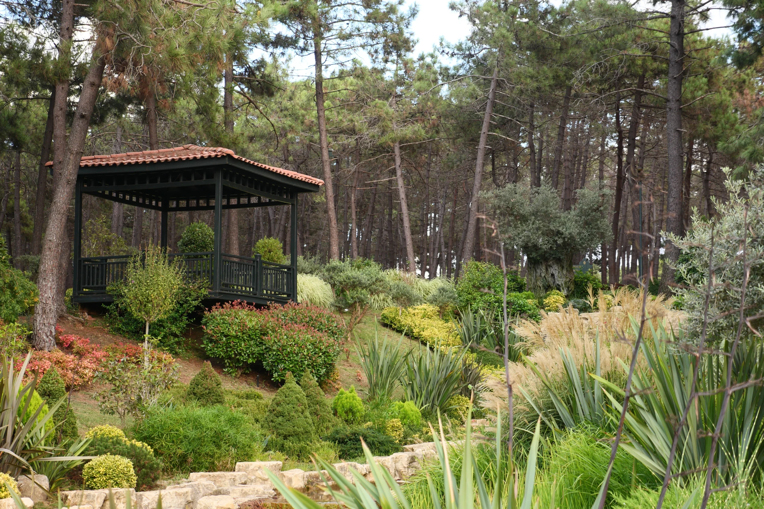 a-gazebo-nestled-amidst-vibrant-greenery-of-a-fore-2024-12-13-09-19-16-utc